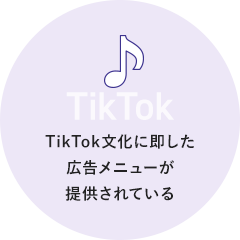 Targeting TikTok文化に即した広告メニューが提供されている